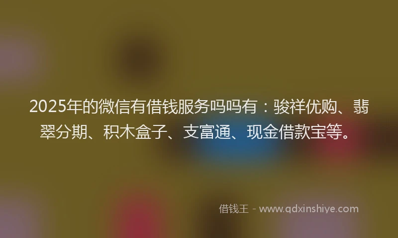 2025年的微信有借钱服务吗吗有：骏祥优购、翡翠分期、积木盒子、支富通、现金借款宝等。