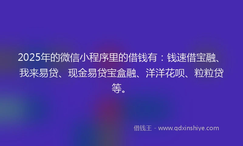 2025年的微信小程序里的借钱有：钱速借宝融、我来易贷、现金易贷宝盒融、洋洋花呗、粒粒贷等。