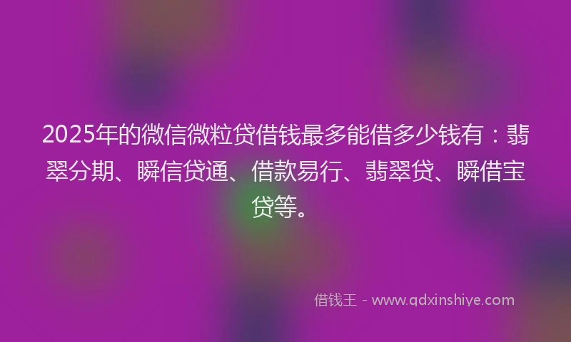 2025年的微信微粒贷借钱最多能借多少钱有：翡翠分期、瞬信贷通、借款易行、翡翠贷、瞬借宝贷等。