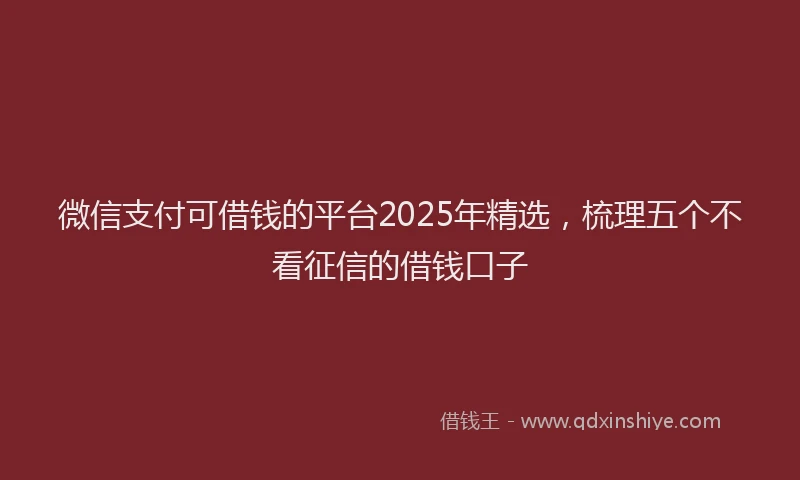 微信支付可借钱的平台2025年精选，梳理五个不看征信的借钱口子