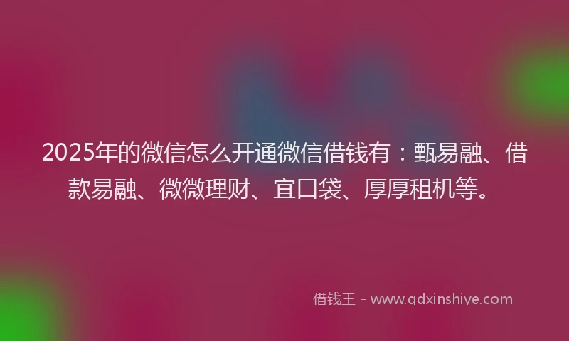 2025年的微信怎么开通微信借钱有：甄易融、借款易融、微微理财、宜口袋、厚厚租机等。