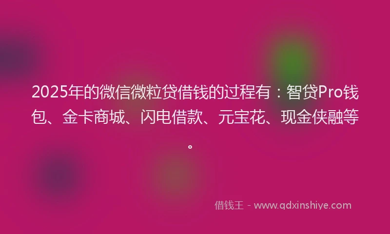 2025年的微信微粒贷借钱的过程有：智贷Pro钱包、金卡商城、闪电借款、元宝花、现金侠融等。