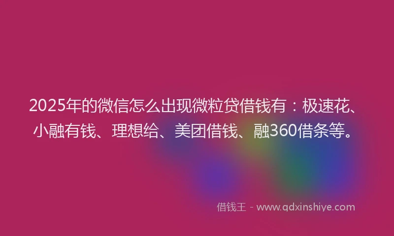 2025年的微信怎么出现微粒贷借钱有：极速花、小融有钱、理想给、美团借钱、融360借条等。