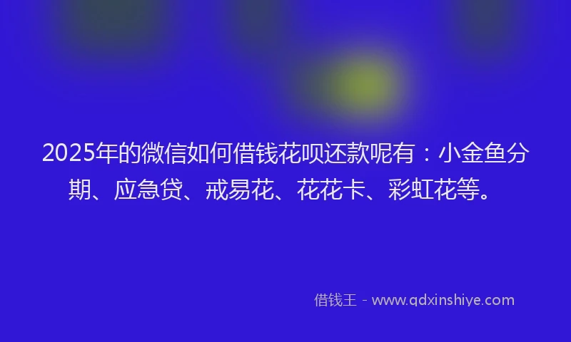 2025年的微信如何借钱花呗还款呢有：小金鱼分期、应急贷、戒易花、花花卡、彩虹花等。