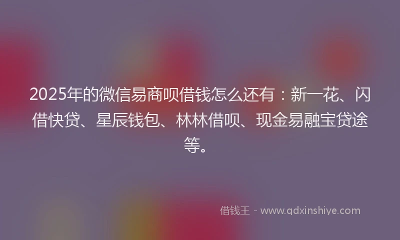 2025年的微信易商呗借钱怎么还有：新一花、闪借快贷、星辰钱包、林林借呗、现金易融宝贷途等。