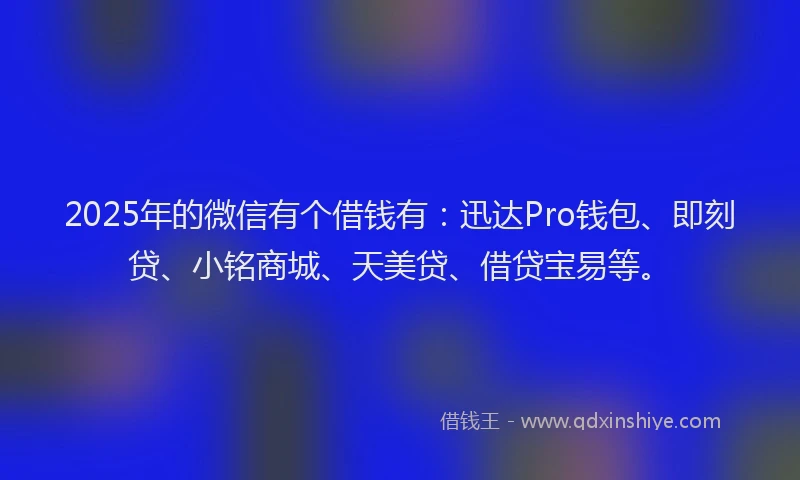 2025年的微信有个借钱有：迅达Pro钱包、即刻贷、小铭商城、天美贷、借贷宝易等。