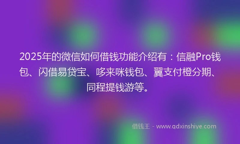 2025年的微信如何借钱功能介绍有：信融Pro钱包、闪借易贷宝、哆来咪钱包、翼支付橙分期、同程提钱游等。
