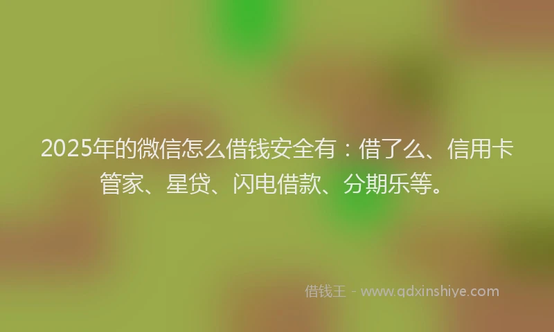 2025年的微信怎么借钱安全有：借了么、信用卡管家、星贷、闪电借款、分期乐等。
