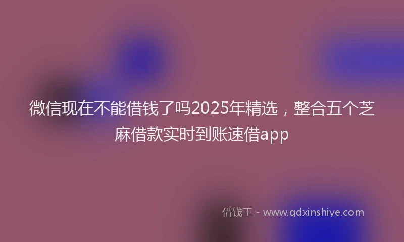 微信现在不能借钱了吗2025年精选，整合五个芝麻借款实时到账速借app