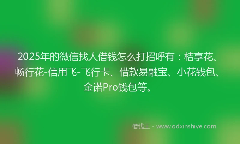 2025年的微信找人借钱怎么打招呼有：桔享花、畅行花-信用飞-飞行卡、借款易融宝、小花钱包、金诺Pro钱包等。