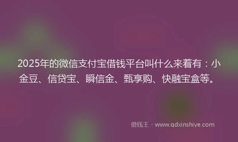2025年的微信支付宝借钱平台叫什么来着有：小金豆、信贷宝、瞬信金、甄享购、快融宝盒等。