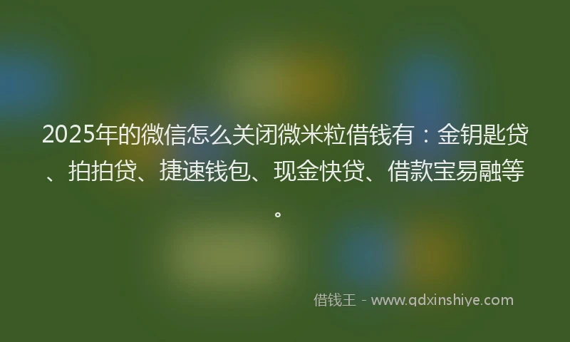 2025年的微信怎么关闭微米粒借钱有：金钥匙贷、拍拍贷、捷速钱包、现金快贷、借款宝易融等。