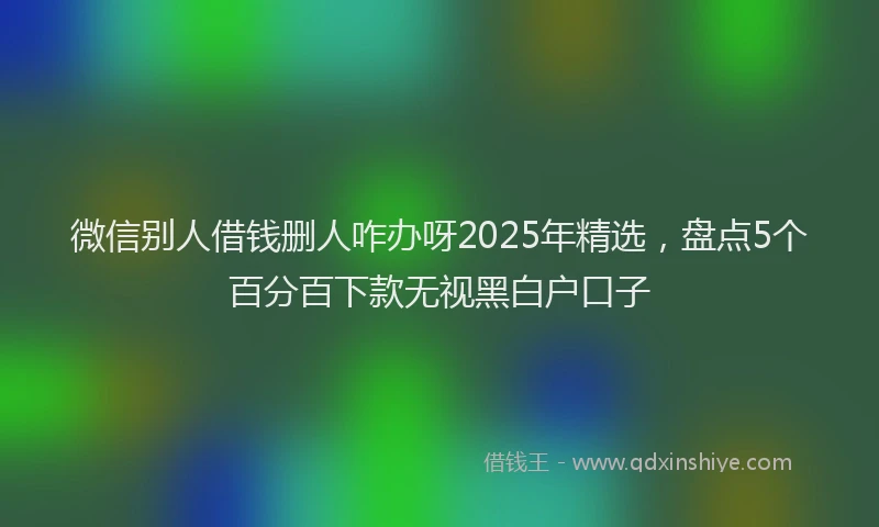 微信别人借钱删人咋办呀2025年精选，盘点5个百分百下款无视黑白户口子
