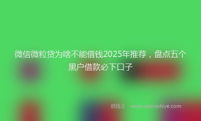 微信微粒贷为啥不能借钱2025年推荐，盘点五个黑户借款必下口子