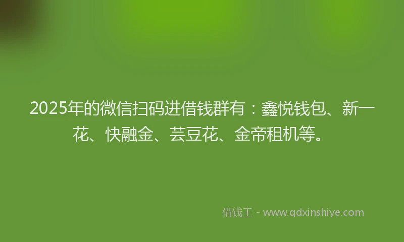 2025年的微信扫码进借钱群有：鑫悦钱包、新一花、快融金、芸豆花、金帝租机等。