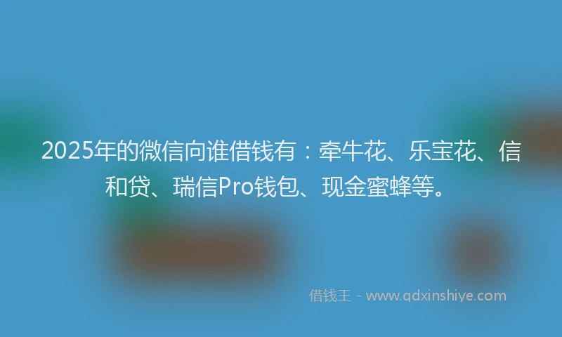 2025年的微信向谁借钱有：牵牛花、乐宝花、信和贷、瑞信Pro钱包、现金蜜蜂等。