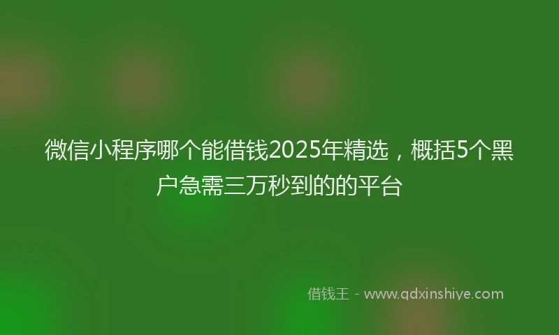 微信小程序哪个能借钱2025年精选，概括5个黑户急需三万秒到的的平台