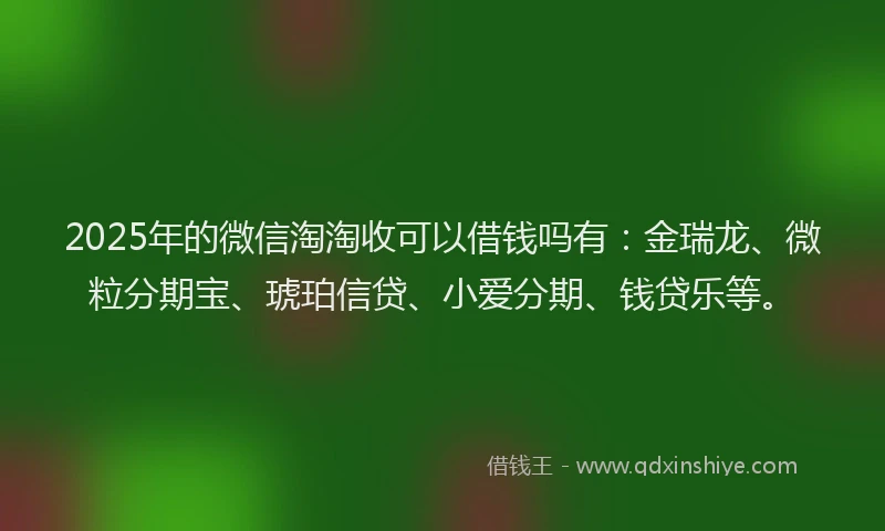 2025年的微信淘淘收可以借钱吗有：金瑞龙、微粒分期宝、琥珀信贷、小爱分期、钱贷乐等。