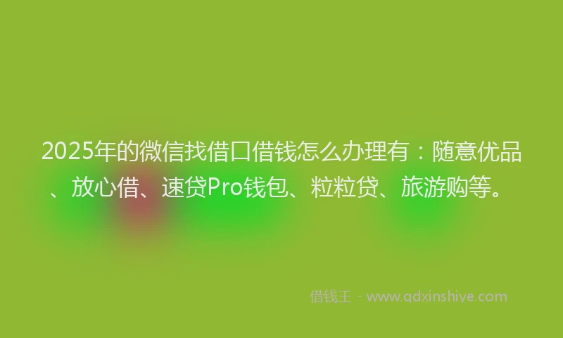 2025年的微信找借口借钱怎么办理有：随意优品、放心借、速贷Pro钱包、粒粒贷、旅游购等。
