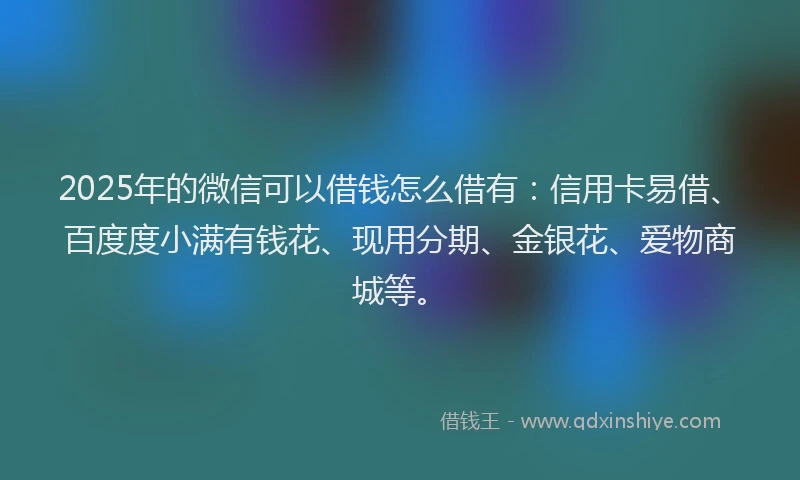 2025年的微信可以借钱怎么借有：信用卡易借、百度度小满有钱花、现用分期、金银花、爱物商城等。