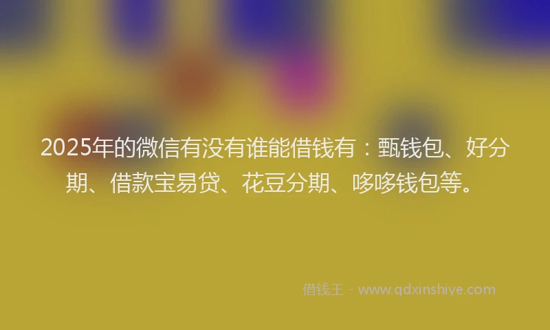 2025年的微信有没有谁能借钱有：甄钱包、好分期、借款宝易贷、花豆分期、哆哆钱包等。
