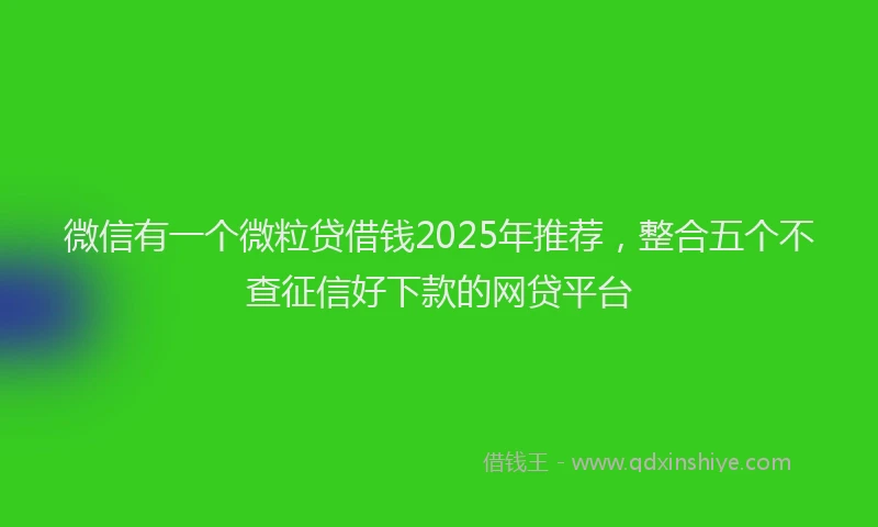 微信有一个微粒贷借钱2025年推荐，整合五个不查征信好下款的网贷平台