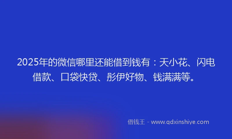 2025年的微信哪里还能借到钱有：天小花、闪电借款、口袋快贷、彤伊好物、钱满满等。