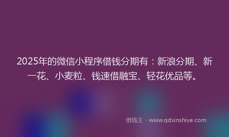 2025年的微信小程序借钱分期有：新浪分期、新一花、小麦粒、钱速借融宝、轻花优品等。