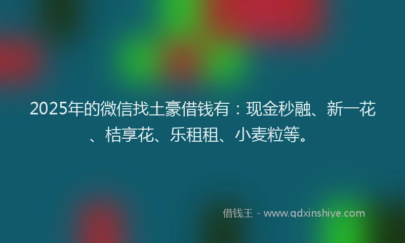 2025年的微信找土豪借钱有：现金秒融、新一花、桔享花、乐租租、小麦粒等。