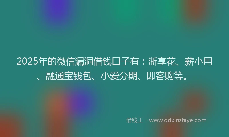 2025年的微信漏洞借钱口子有：浙享花、薪小用、融通宝钱包、小爱分期、即客购等。
