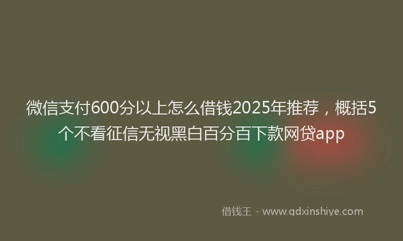 微信支付600分以上怎么借钱2025年推荐，概括5个不看征信无视黑白百分百下款网贷app