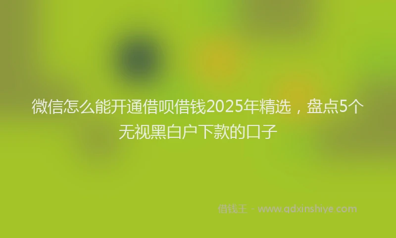 微信怎么能开通借呗借钱2025年精选，盘点5个无视黑白户下款的口子