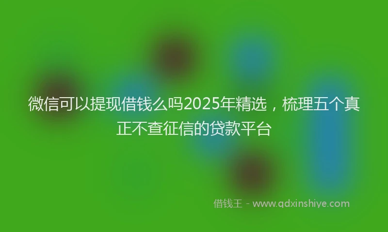微信可以提现借钱么吗2025年精选，梳理五个真正不查征信的贷款平台
