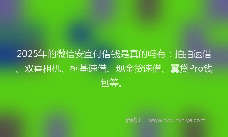 2025年的微信安宜付借钱是真的吗有：拍拍速借、双喜租机、柯基速借、现金贷速借、翼贷Pro钱包等。
