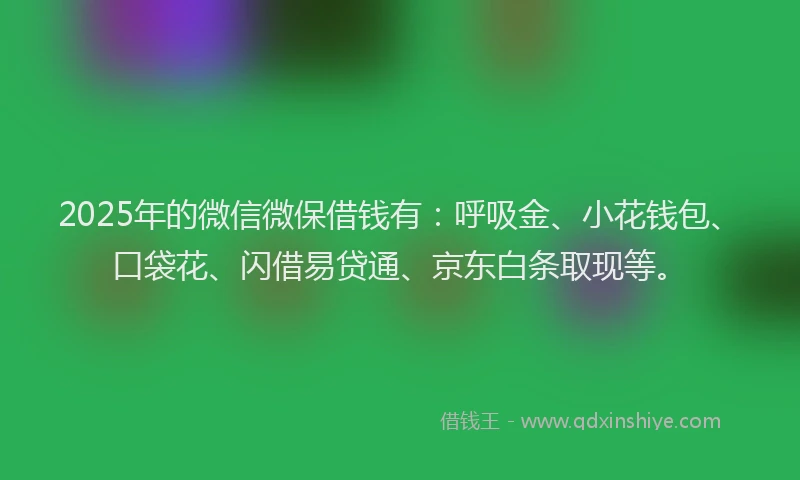 2025年的微信微保借钱有：呼吸金、小花钱包、口袋花、闪借易贷通、京东白条取现等。
