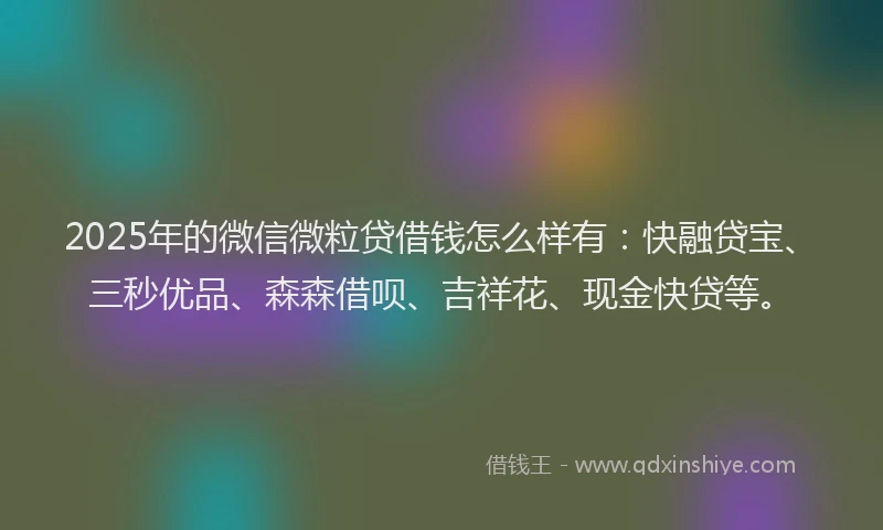 2025年的微信微粒贷借钱怎么样有：快融贷宝、三秒优品、森森借呗、吉祥花、现金快贷等。