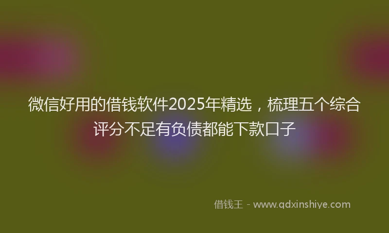 微信好用的借钱软件2025年精选，梳理五个综合评分不足有负债都能下款口子