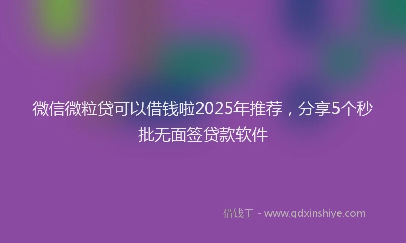 微信微粒贷可以借钱啦2025年推荐，分享5个秒批无面签贷款软件