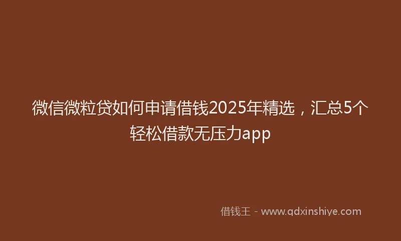微信微粒贷如何申请借钱2025年精选，汇总5个轻松借款无压力app