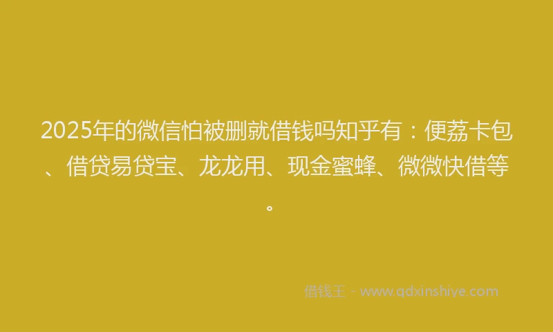 2025年的微信怕被删就借钱吗知乎有：便荔卡包、借贷易贷宝、龙龙用、现金蜜蜂、微微快借等。