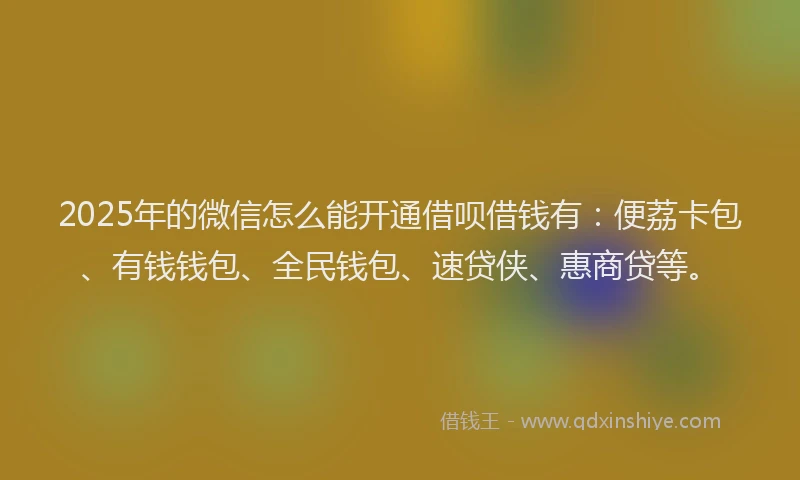 2025年的微信怎么能开通借呗借钱有：便荔卡包、有钱钱包、全民钱包、速贷侠、惠商贷等。