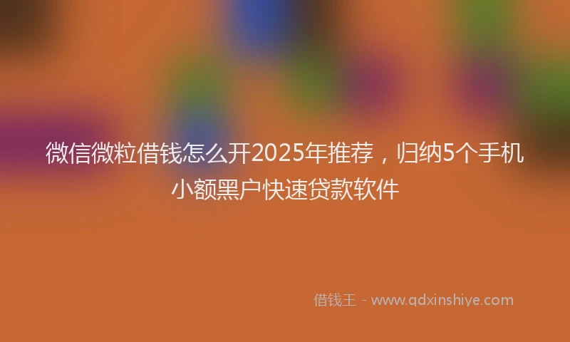 微信微粒借钱怎么开2025年推荐，归纳5个手机小额黑户快速贷款软件
