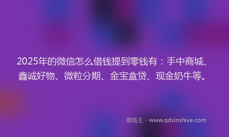 2025年的微信怎么借钱提到零钱有：手中商城、鑫诚好物、微粒分期、金宝盒贷、现金奶牛等。