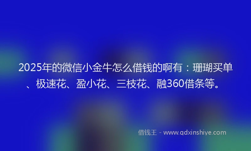 2025年的微信小金牛怎么借钱的啊有：珊瑚买单、极速花、盈小花、三枝花、融360借条等。