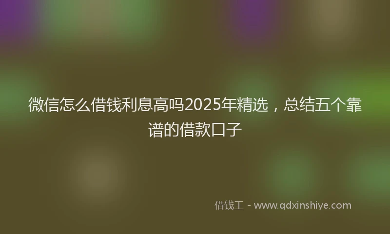 微信怎么借钱利息高吗2025年精选，总结五个靠谱的借款口子