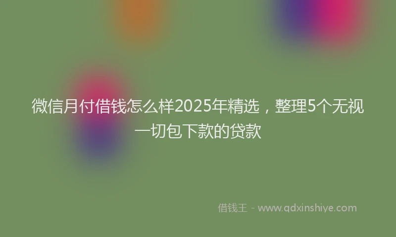 微信月付借钱怎么样2025年精选，整理5个无视一切包下款的贷款