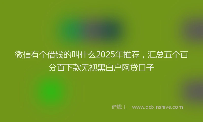 微信有个借钱的叫什么2025年推荐，汇总五个百分百下款无视黑白户网贷口子