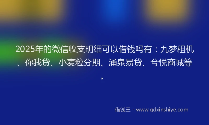 2025年的微信收支明细可以借钱吗有：九梦租机、你我贷、小麦粒分期、涌泉易贷、兮悦商城等。