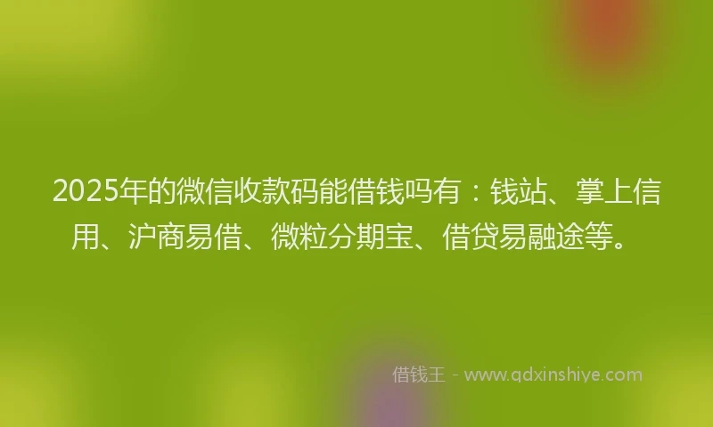 2025年的微信收款码能借钱吗有：钱站、掌上信用、沪商易借、微粒分期宝、借贷易融途等。