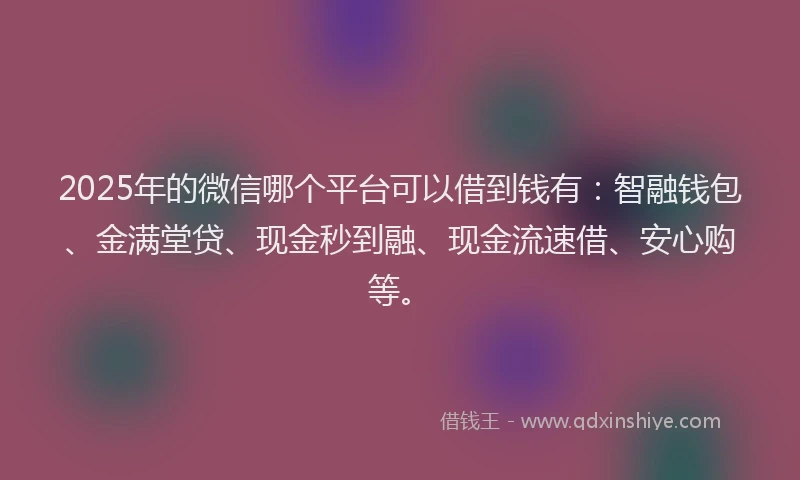 2025年的微信哪个平台可以借到钱有：智融钱包、金满堂贷、现金秒到融、现金流速借、安心购等。